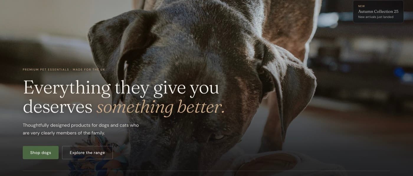 Página inicial da loja Pawlyo, com fotografia de um cão e o título Everything they give you deserves something better